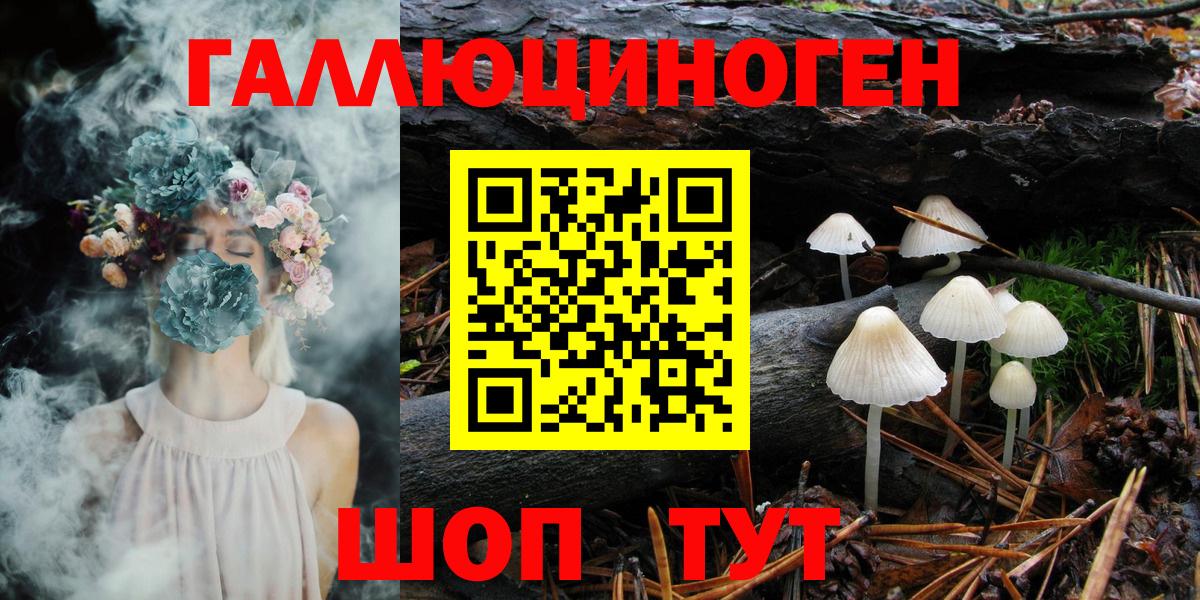 Псилоцибиновые грибы GOLDEN TEACHER Тихвин